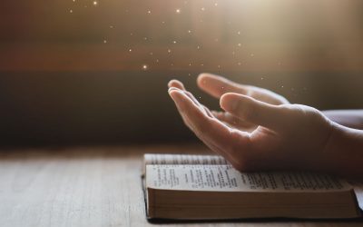 The Role of Faith: How Belief Systems Impact Bible Reading